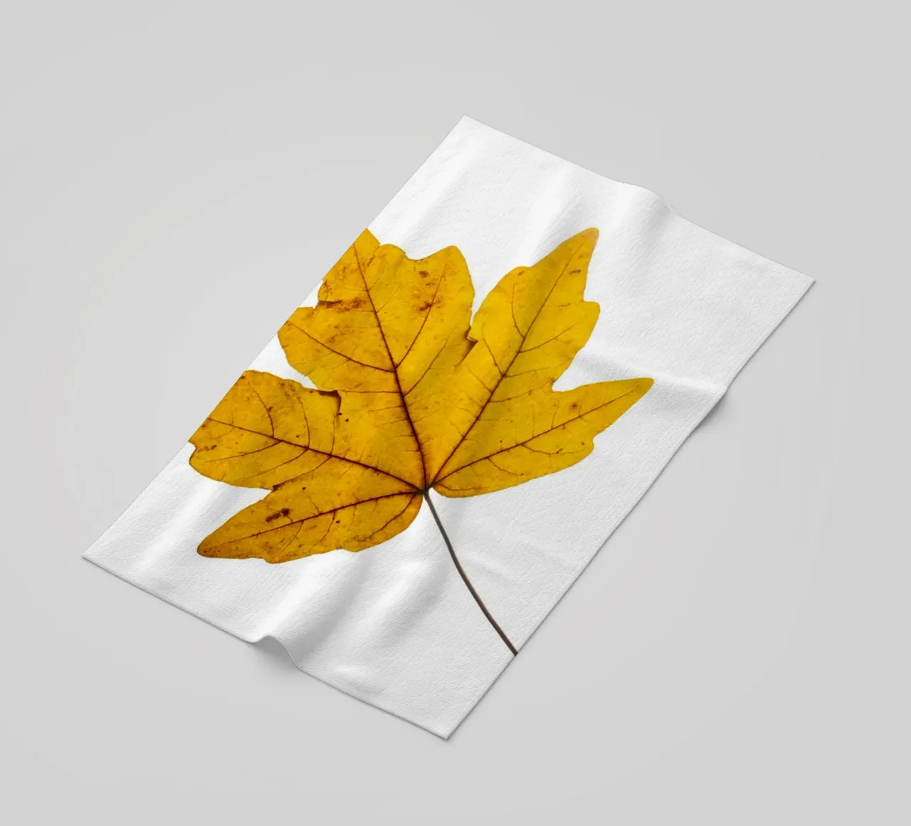 Feuille d'érable en jaune d'automne sur blanc serviette de plage de Bilderwelt - Kunst für die Wand