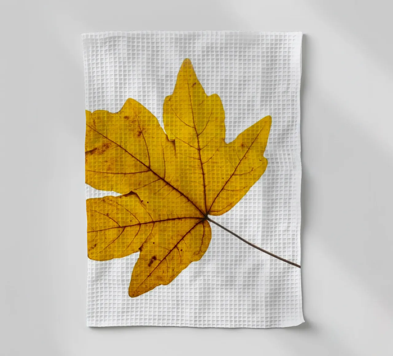 Feuille d'érable en jaune d'automne sur blanc torchon de Bilderwelt - Kunst für die Wand