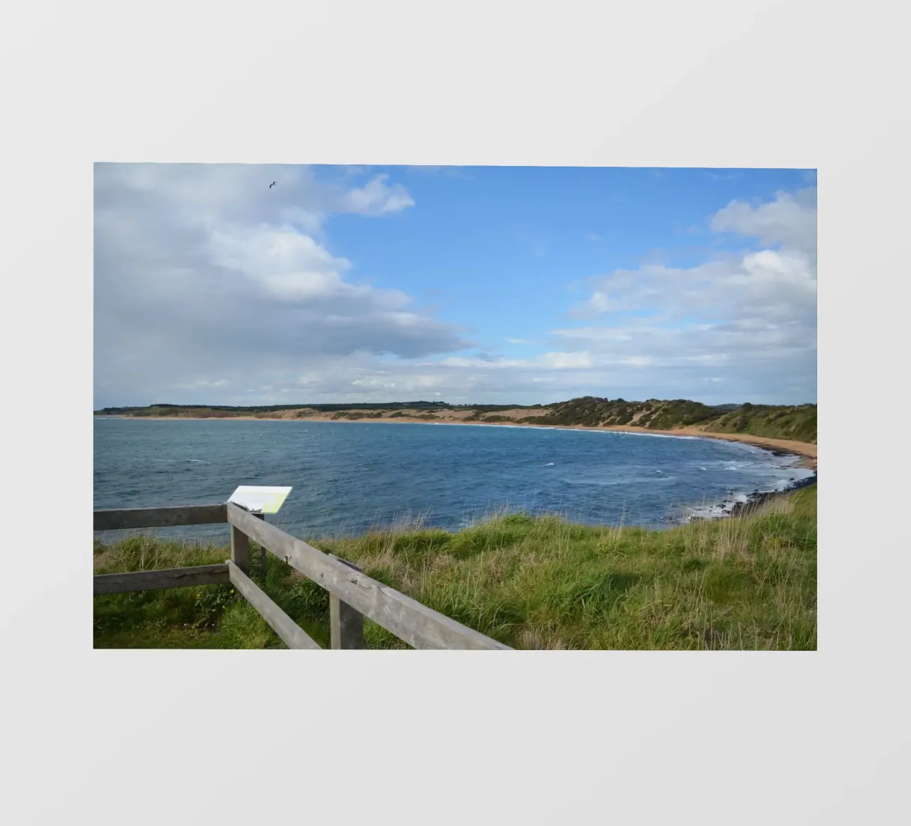 Una vista su Cat Bay a Philip Island pellicola backlit da byrieneke