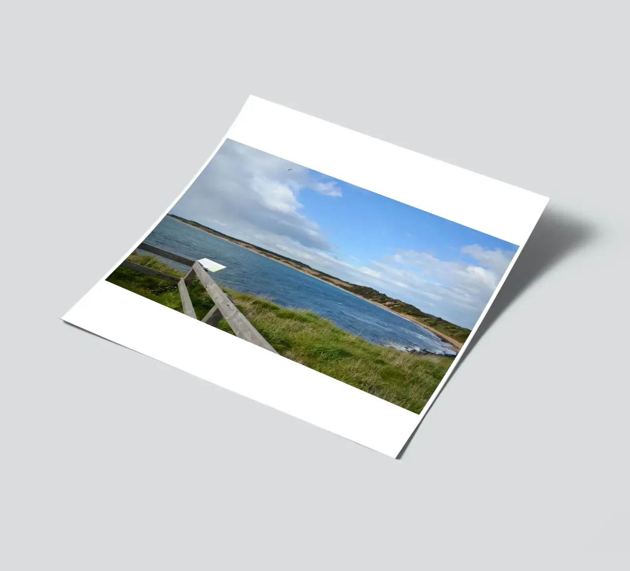 Vue sur la baie de Cat, sur l'île de Philip planche autocollant de byrieneke