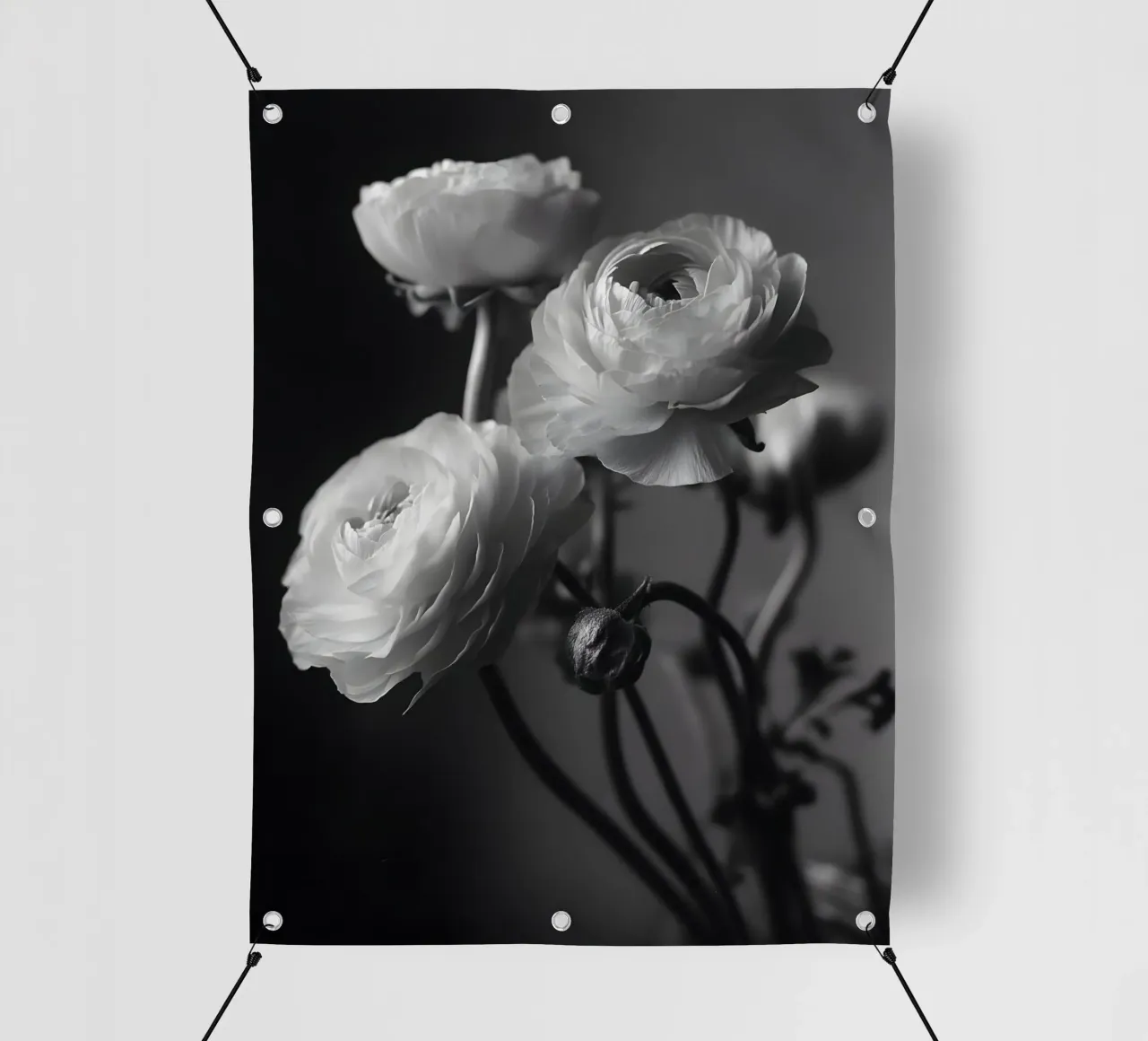 The Ranunculus telo in pvc da Mononoir