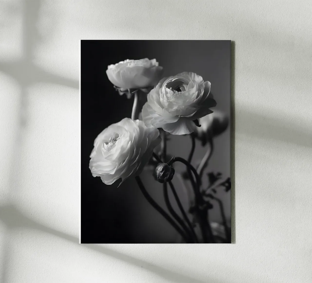 The Ranunculus tela con Cornice a cassetta da Mononoir