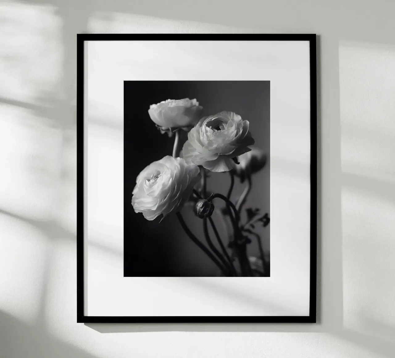 The Ranunculus poster da Mononoir