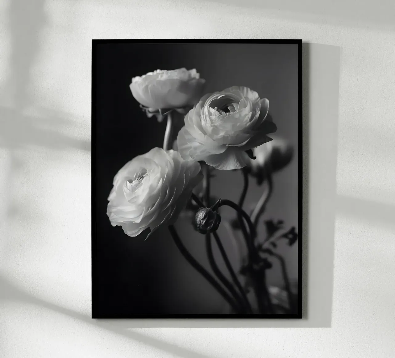 The Ranunculus poster da Mononoir