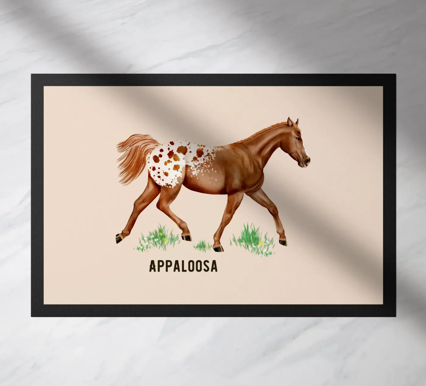 Appaloosa zerbino da Moonlit Illustrations