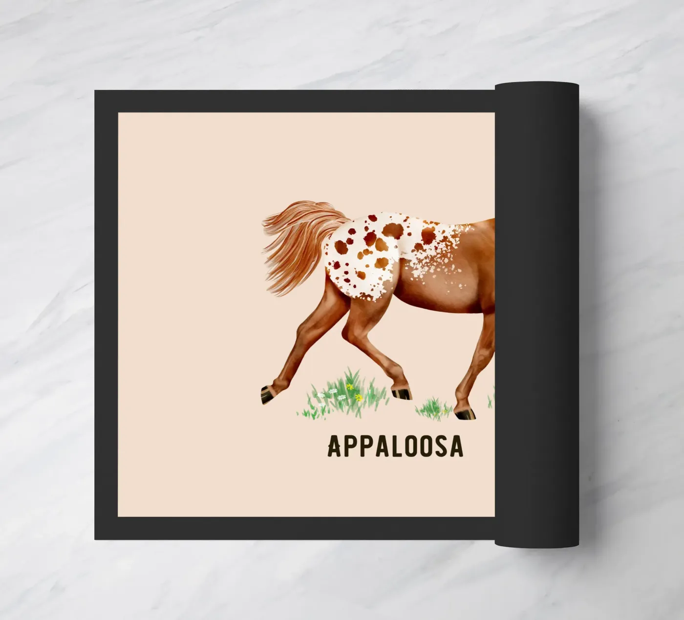 Appaloosa zerbino da Moonlit Illustrations
