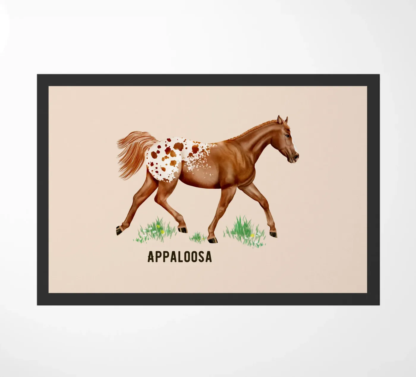 Appaloosa zerbino da Moonlit Illustrations