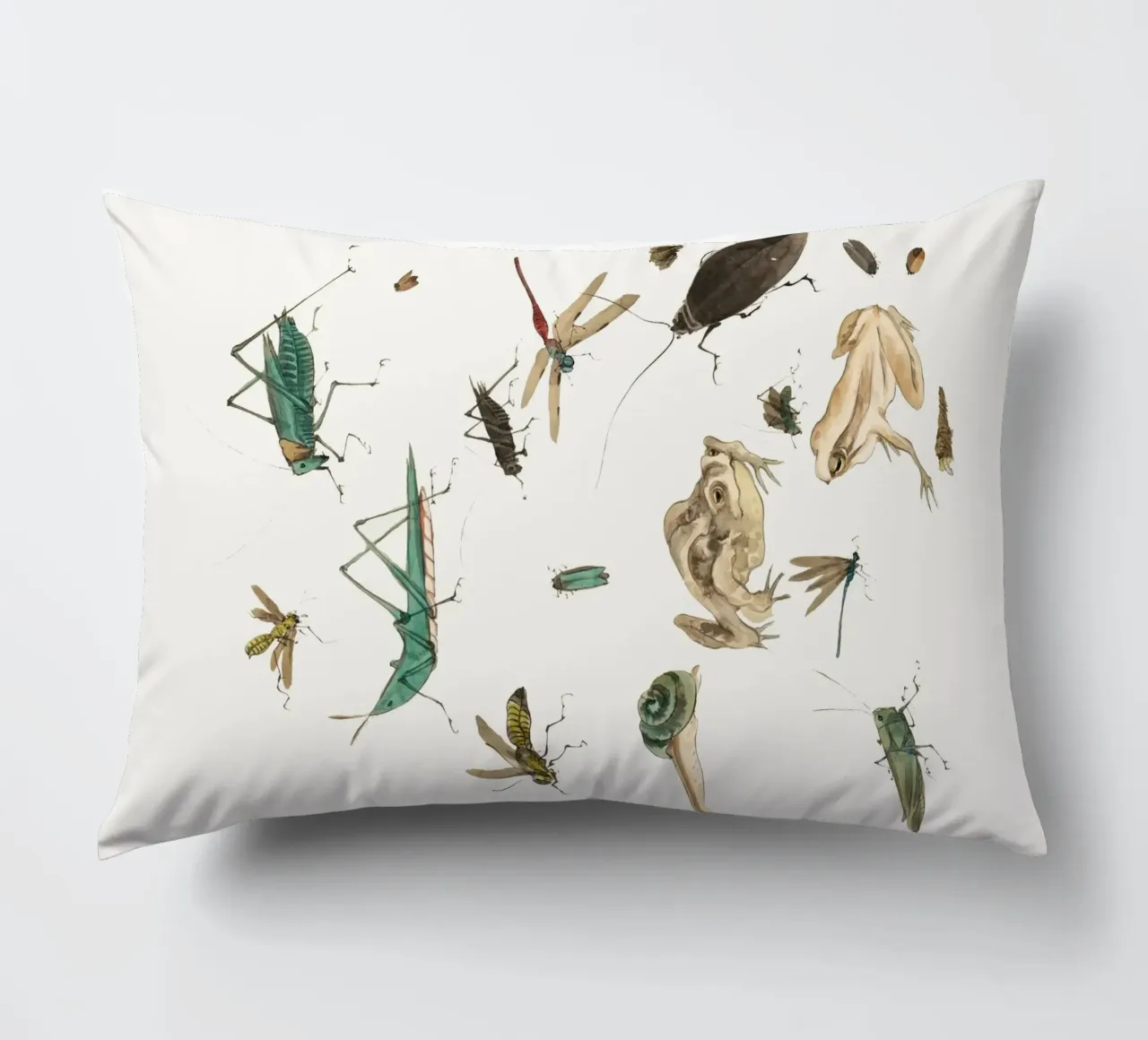 Insects frogs and a snail cuscino da Nadjaa
