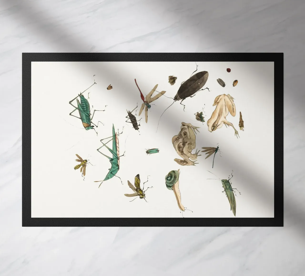 Insects frogs and a snail zerbino da Nadjaa