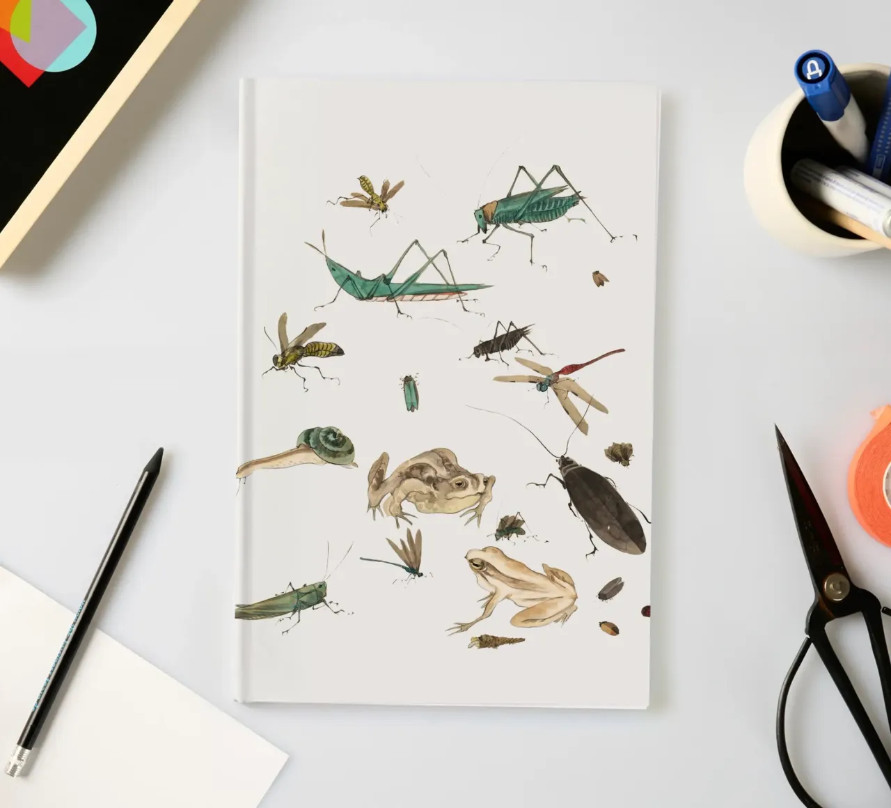 Insects frogs and a snail notebook by Nadjaa