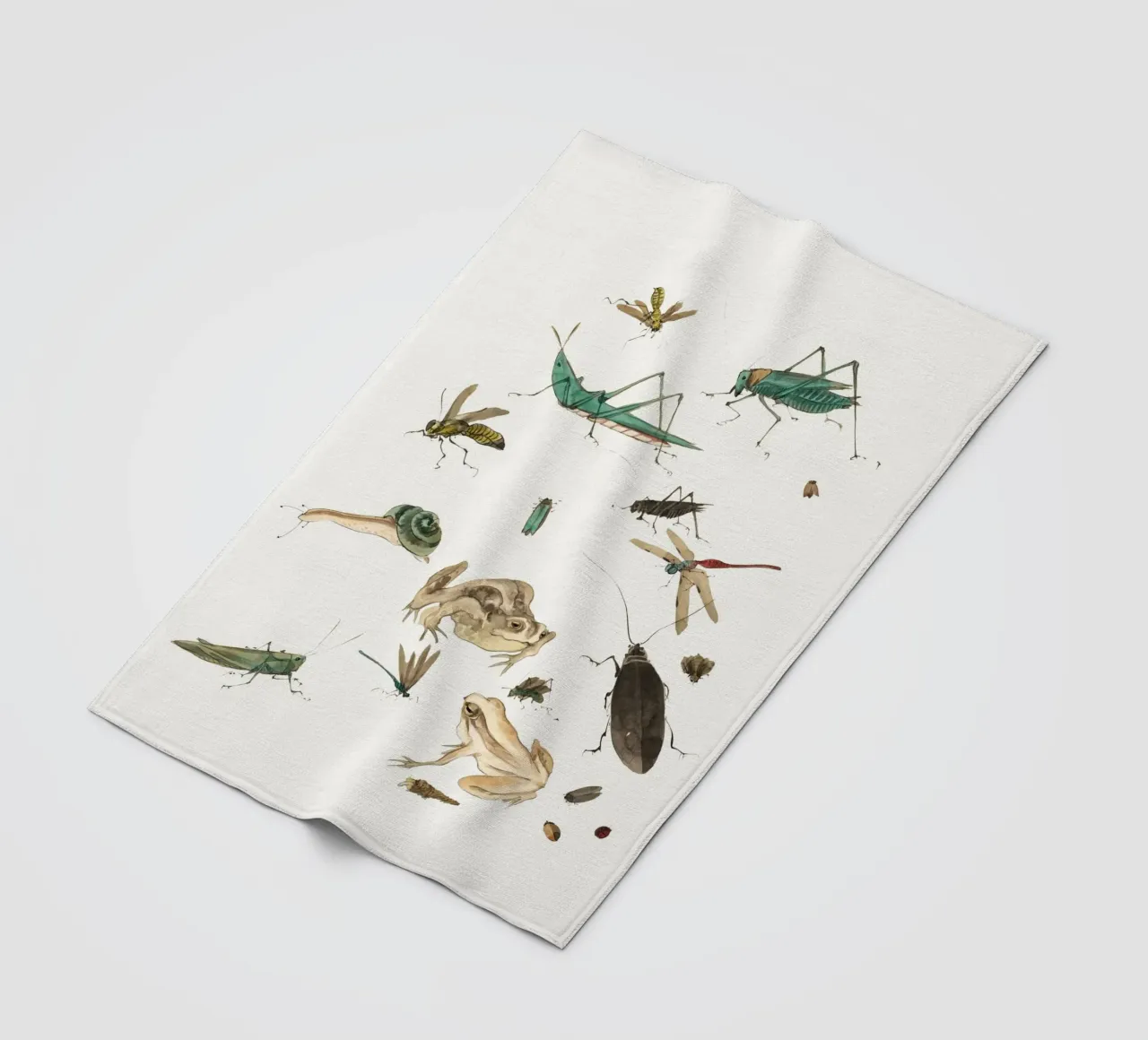 Insects frogs and a snail coperta in pile da Nadjaa