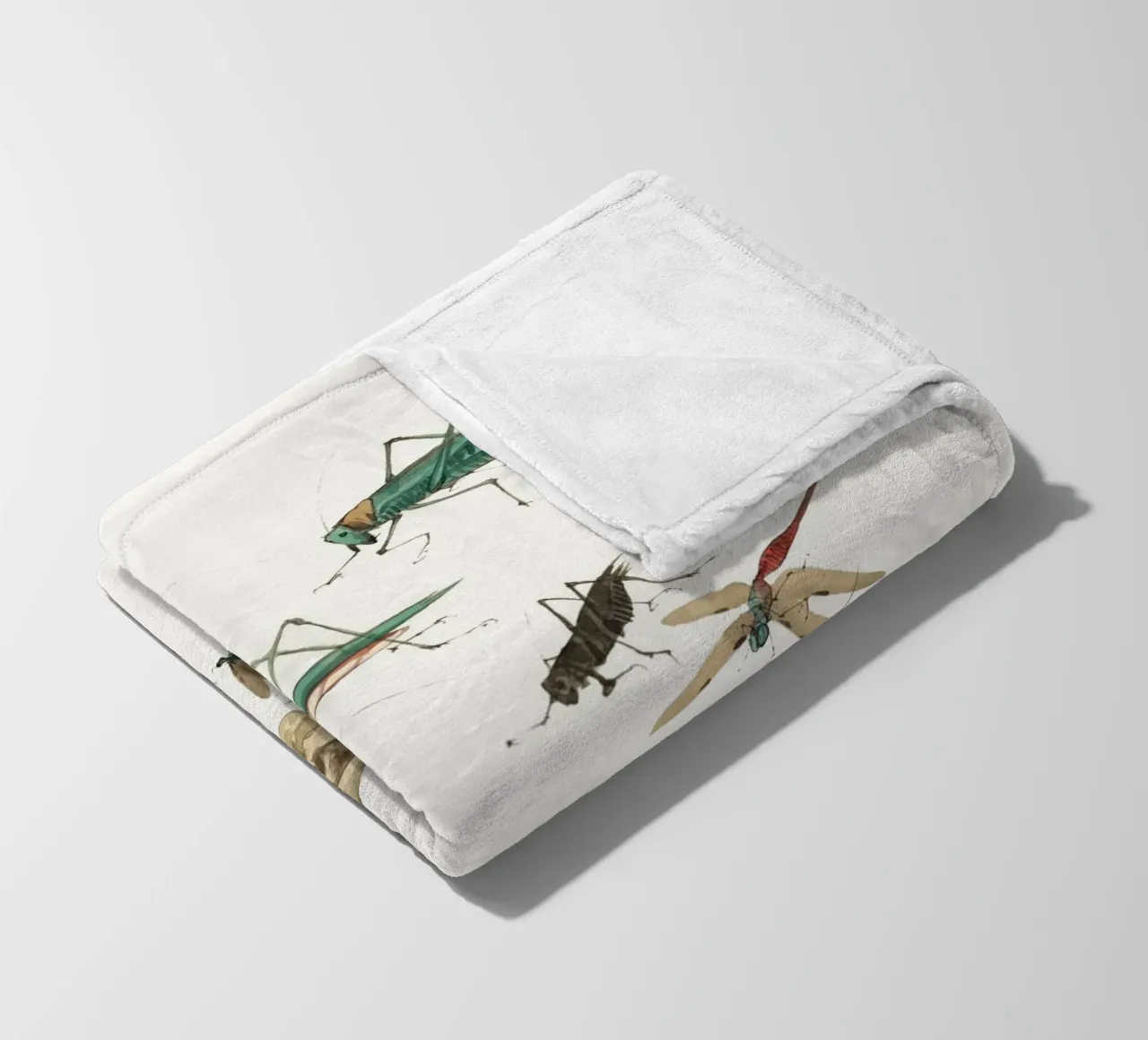 Insects frogs and a snail coperta in pile da Nadjaa