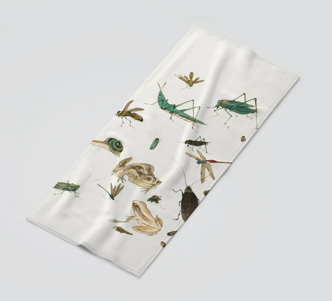 Insects frogs and a snail telo mare da Nadjaa
