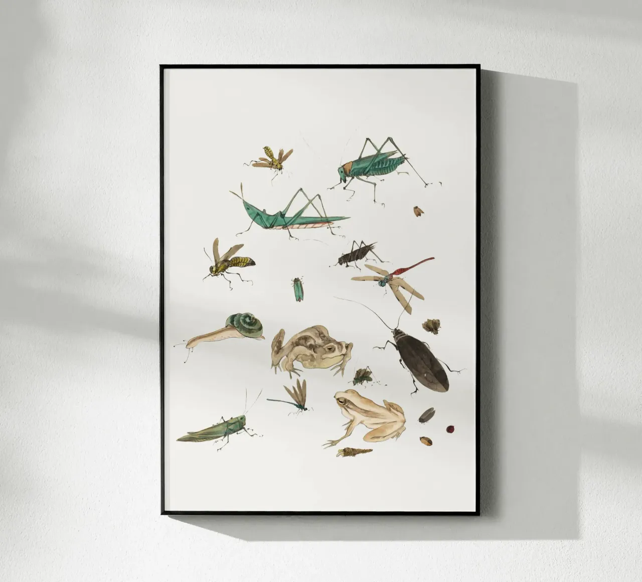 Insects frogs and a snail plexiglass da Nadjaa