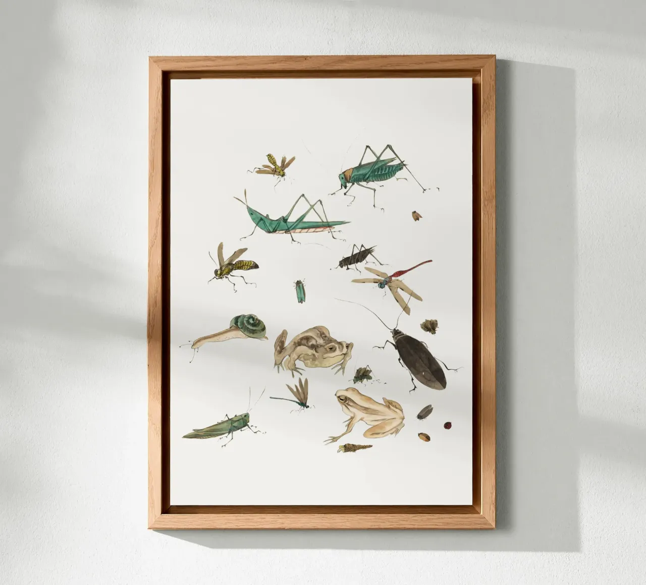 Insects frogs and a snail alluminio dibond da Nadjaa