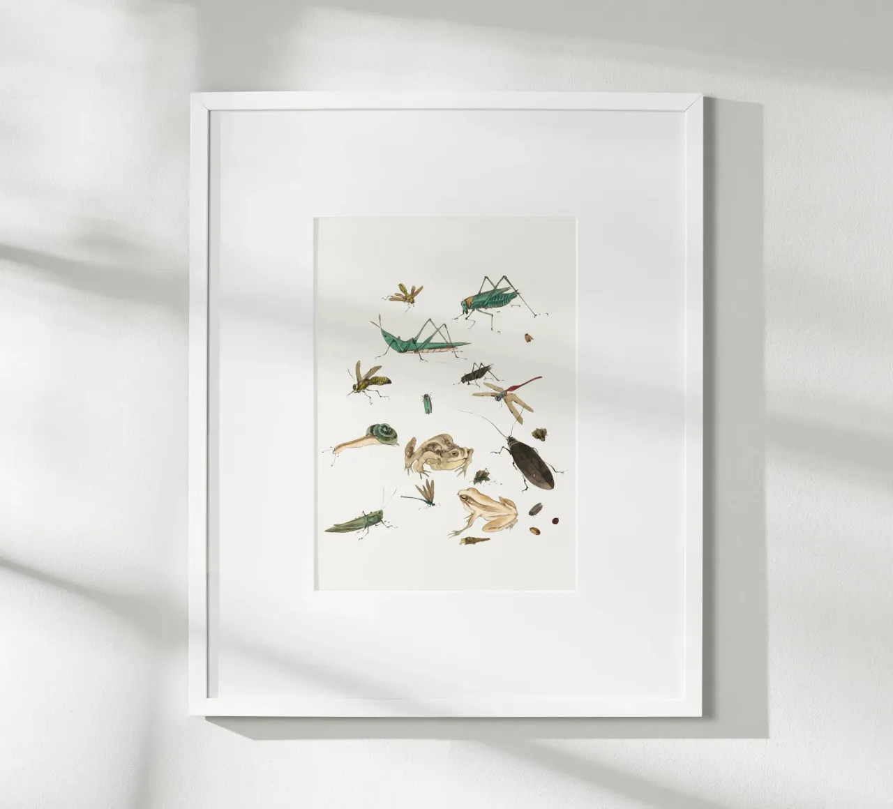 Insects frogs and a snail carta hahnemühle da Nadjaa