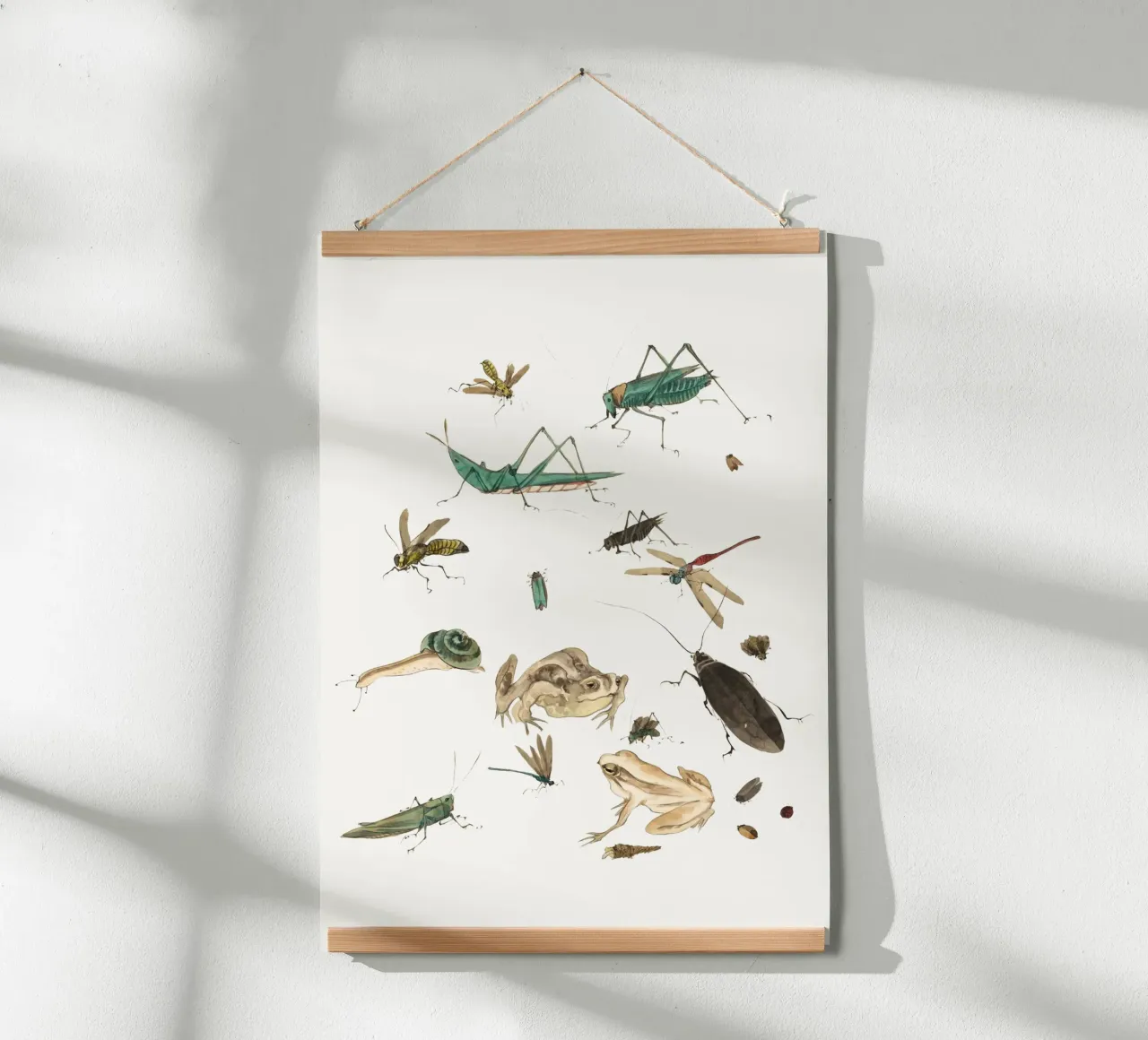 Insects frogs and a snail carta hahnemühle da Nadjaa