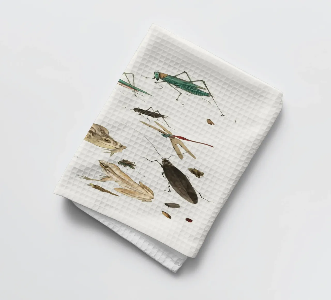 Insects frogs and a snail canovaccio da cucina da Nadjaa