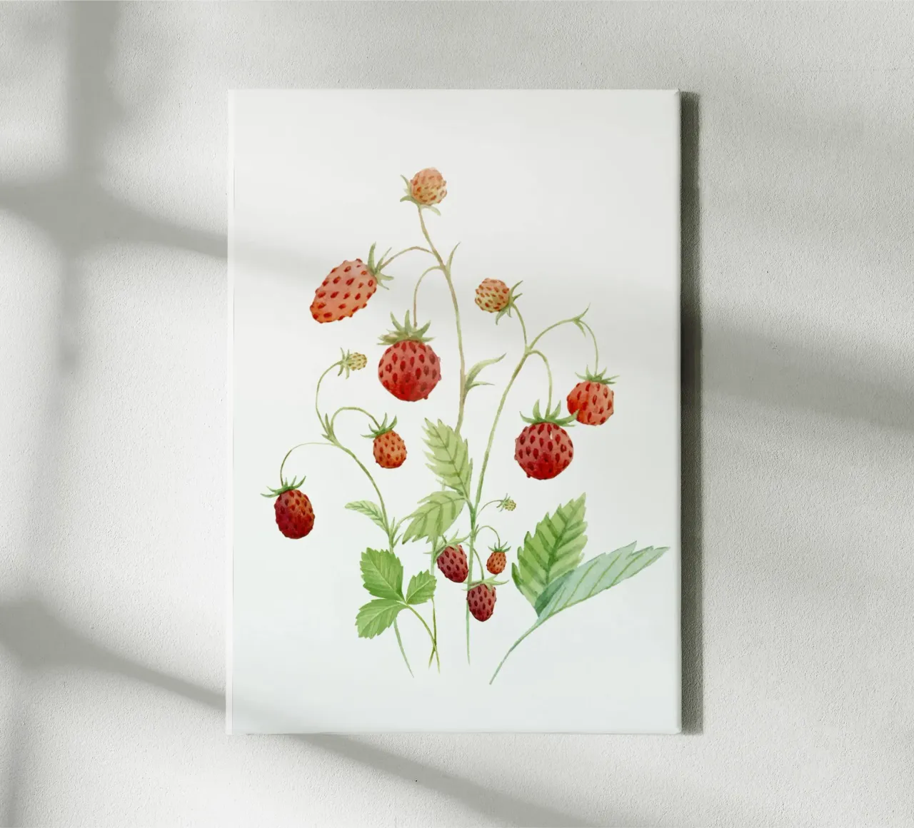 Wild Strawberries canvas by Nadjaa