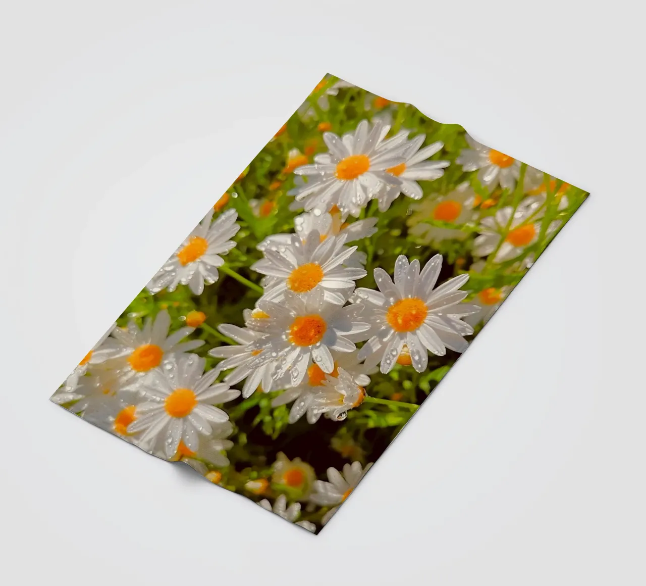 Sparkling Daisy Field fleece blanket by luxi&lace