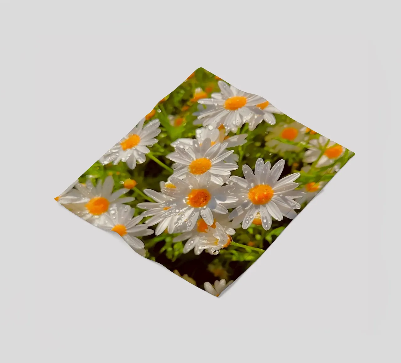 Sparkling Daisy Field fleece blanket by luxi&lace