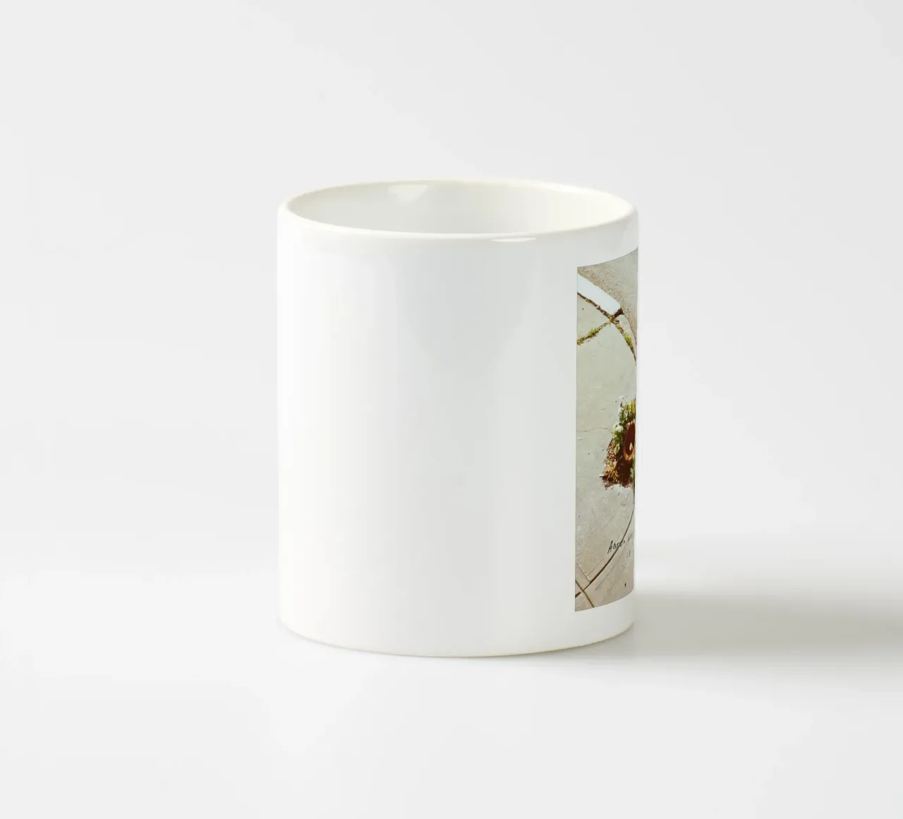 Aaron West tazza in ceramica da willy shop