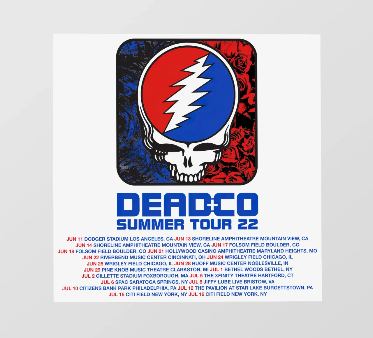 dead and company tour 2022 photo wallpaper by martina