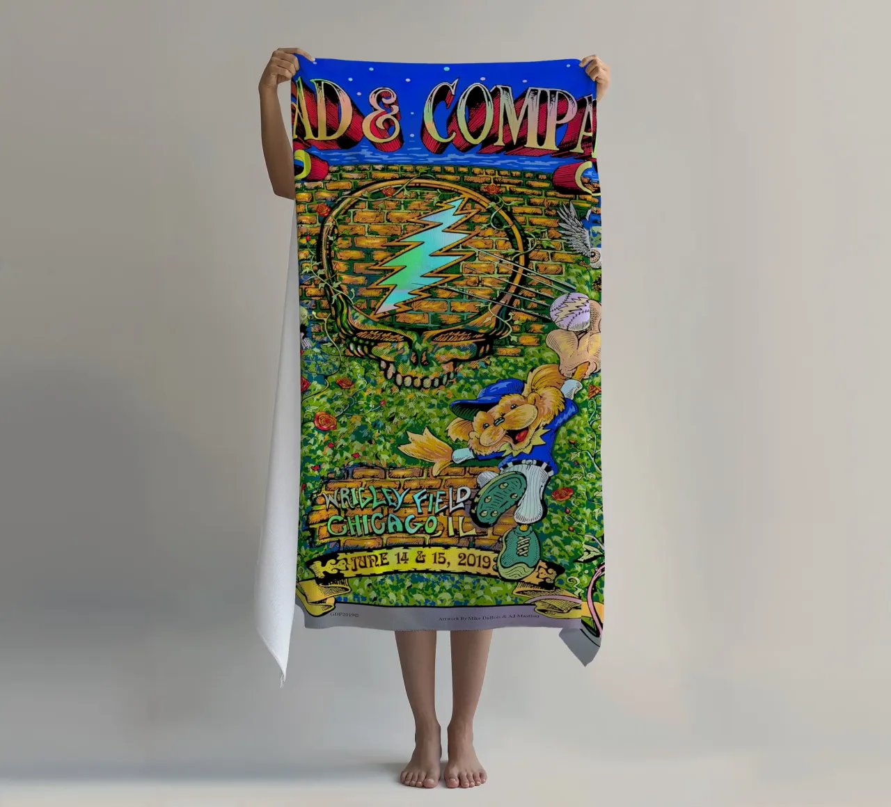 dead and company wrigley field 2019 telo mare da martina