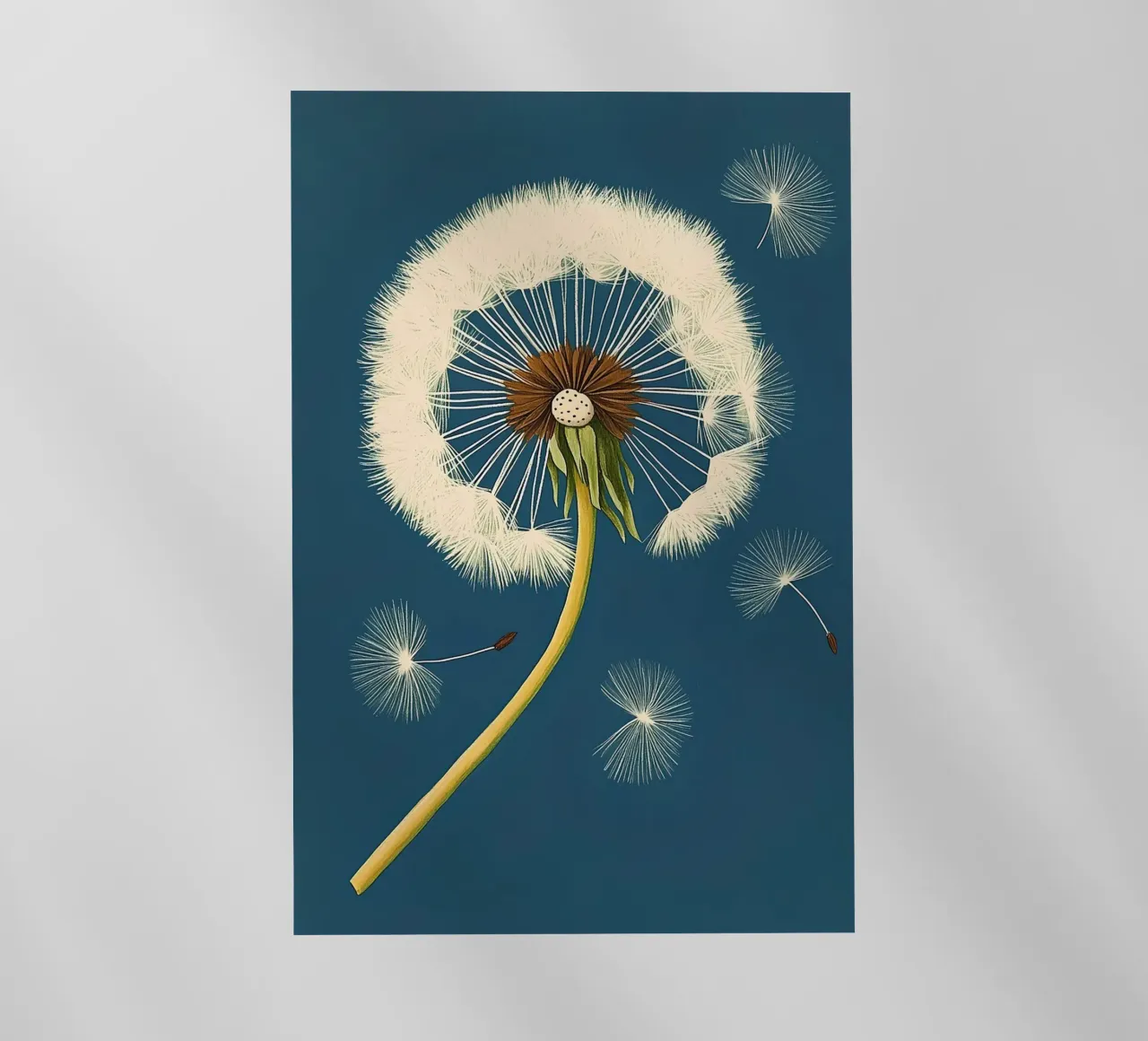 Pusteblume pellicola backlit da Curious Canvas