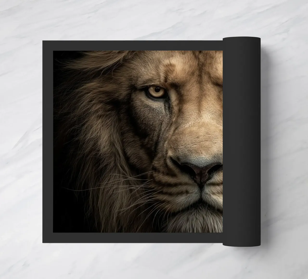 Leone zerbino da Pictura