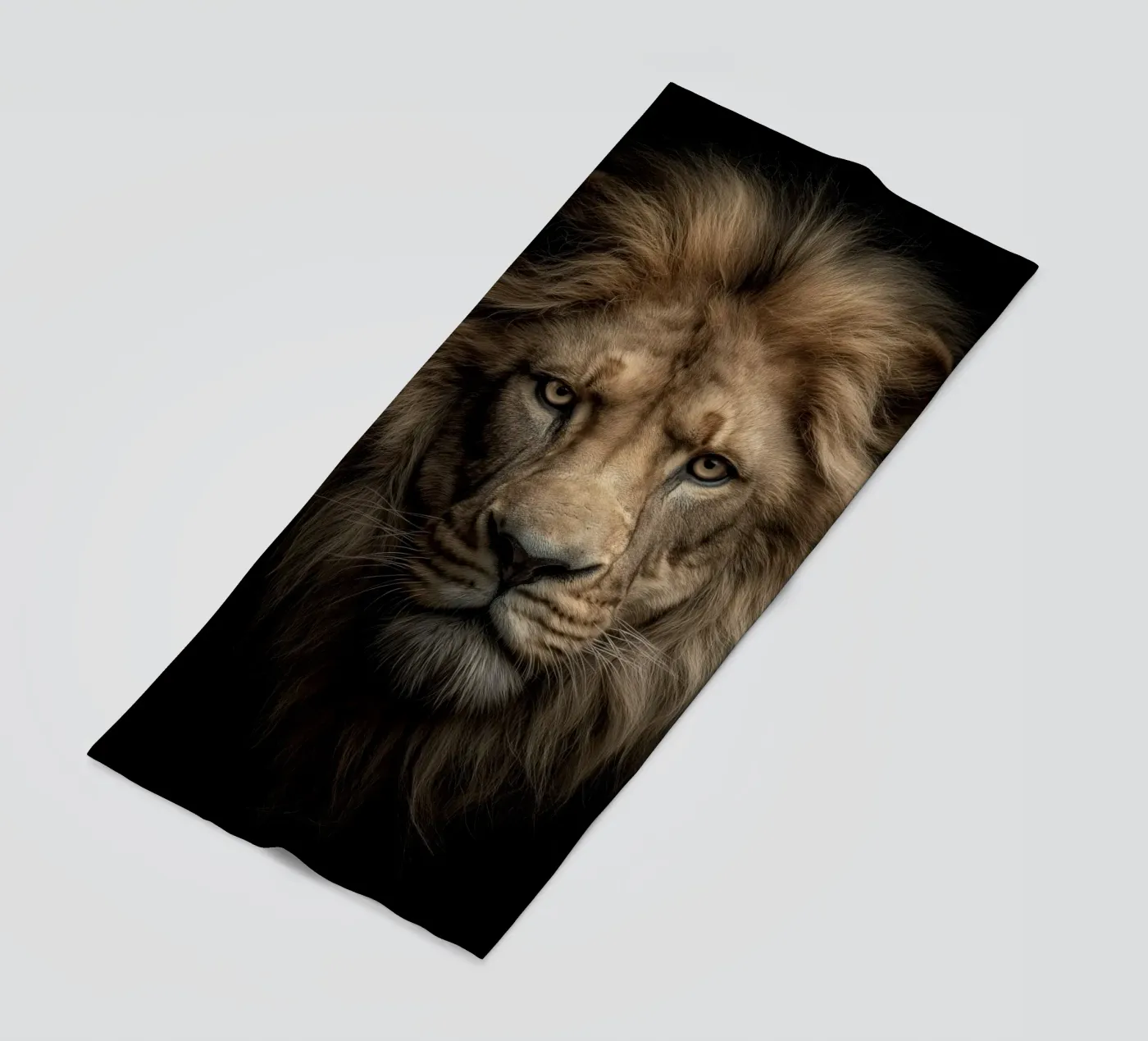 Leo telo mare da Pictura