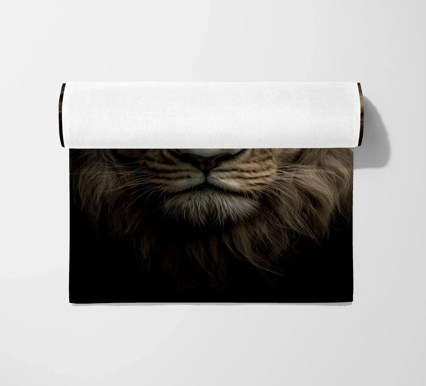 Leo telo mare da Pictura