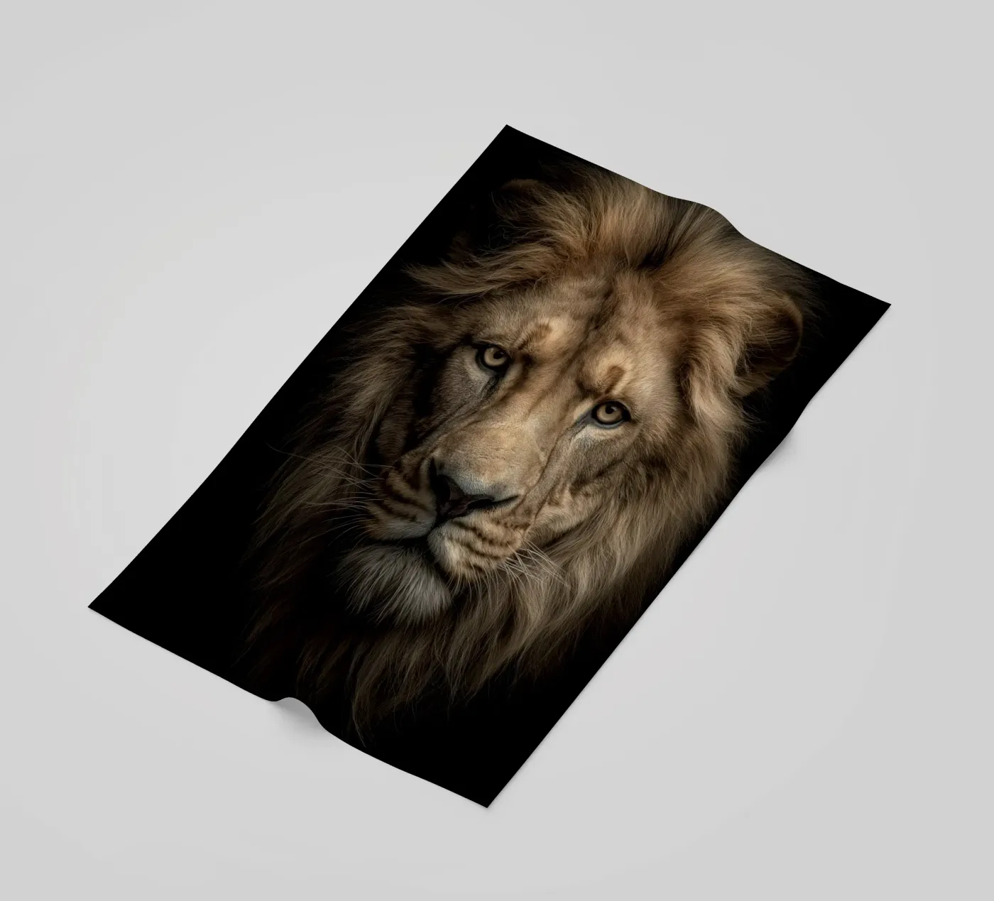 Leo telo mare da Pictura