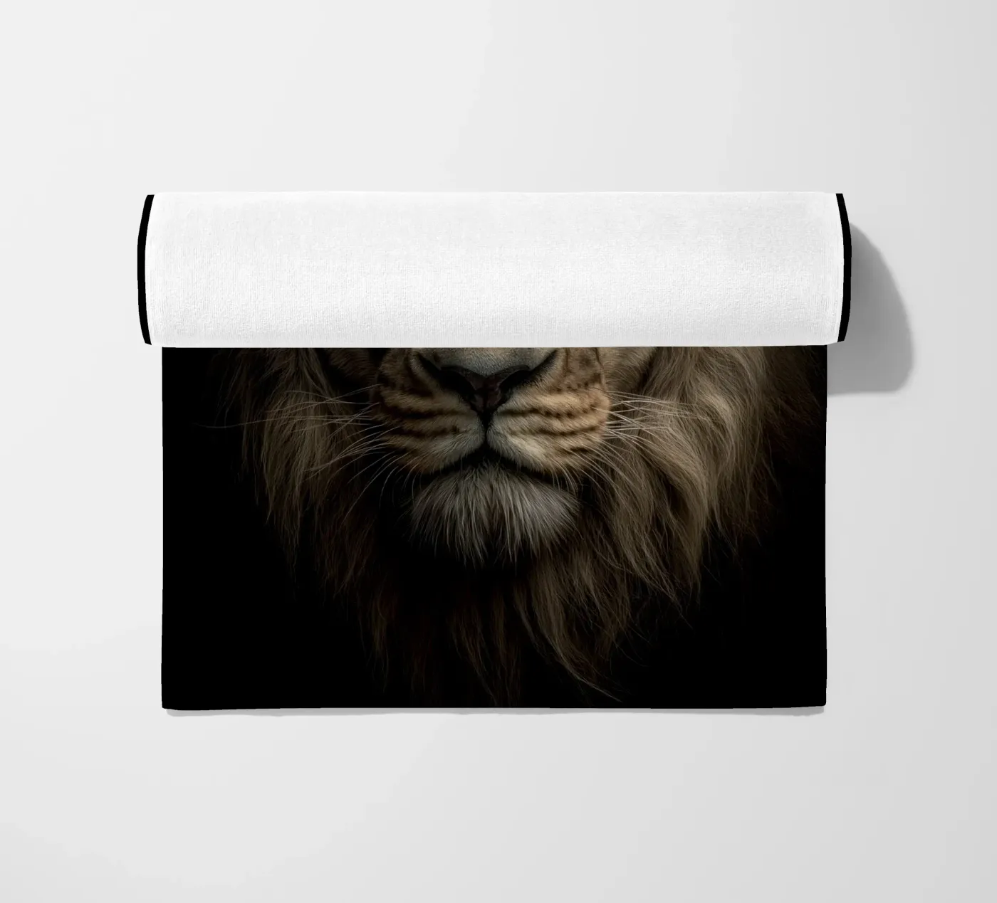 Leo telo mare da Pictura