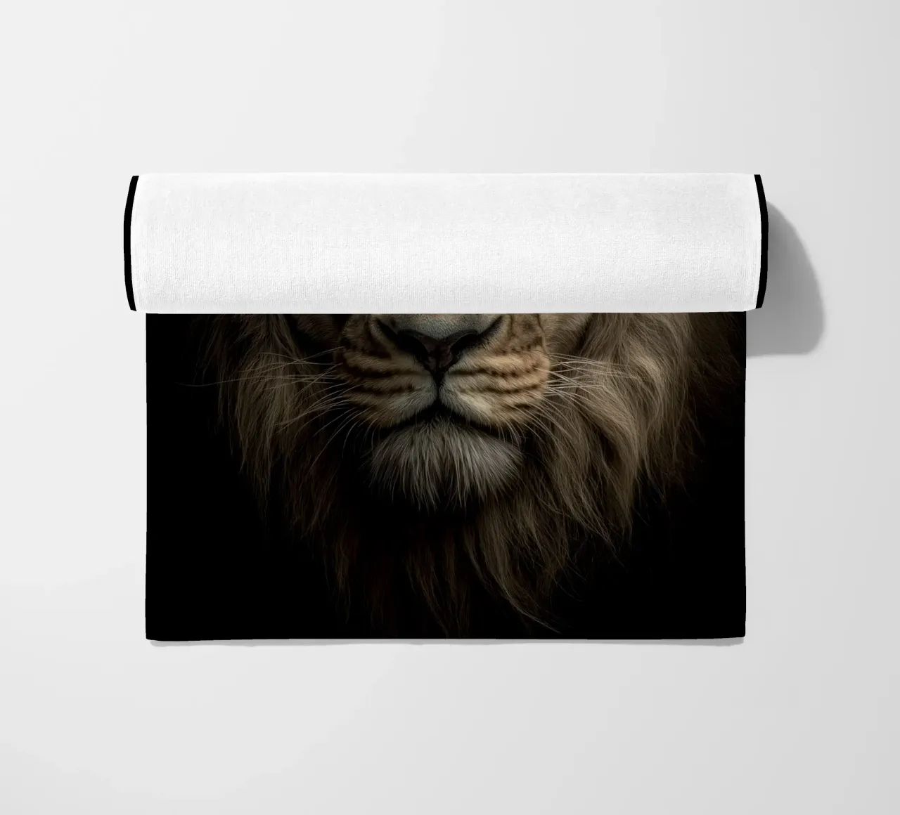 Leo telo mare da Pictura