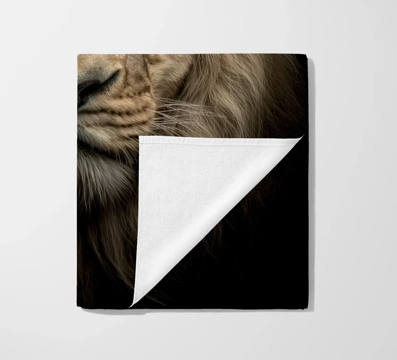 Leo telo mare da Pictura