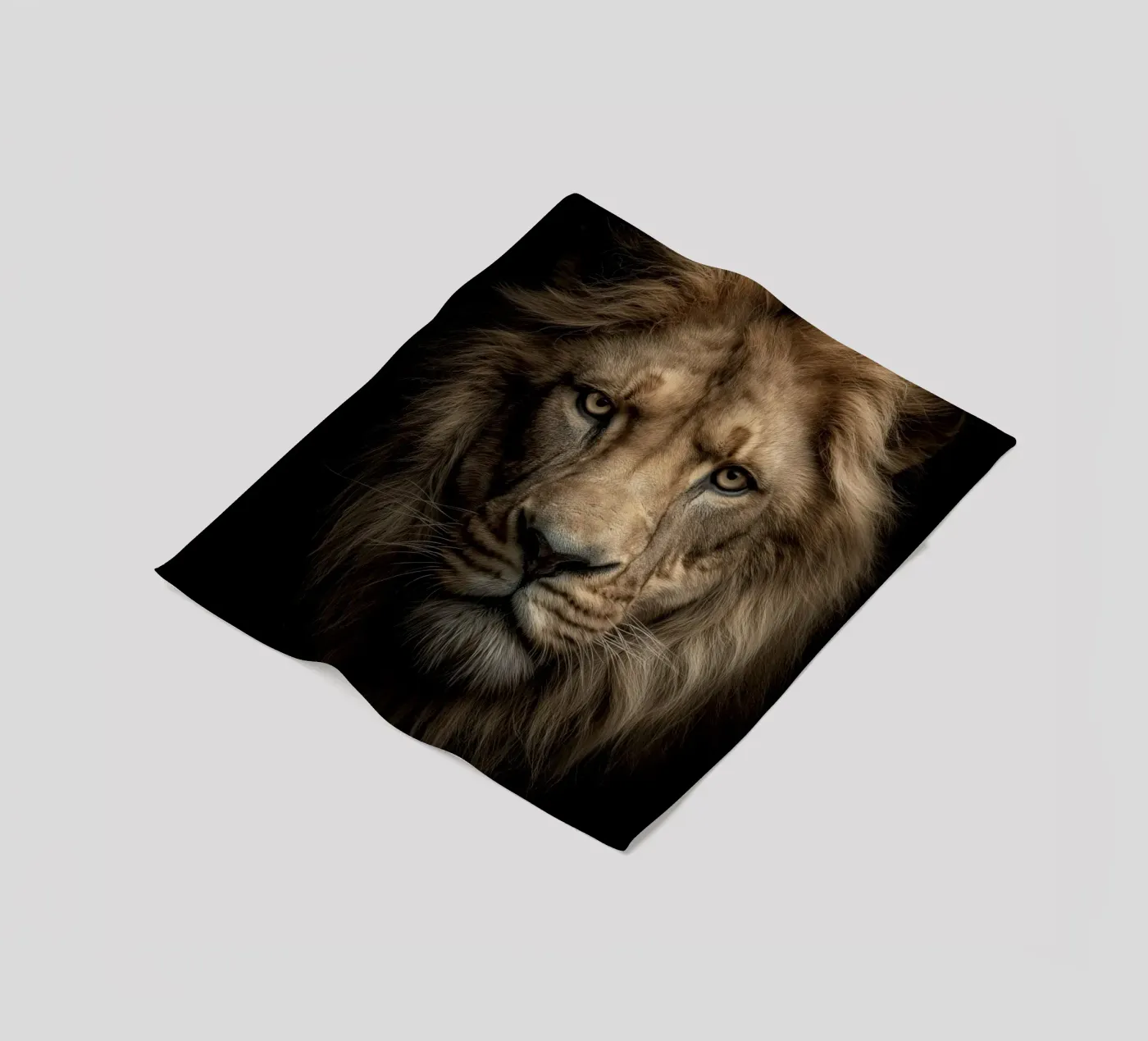 Leo coperta in pile da Pictura