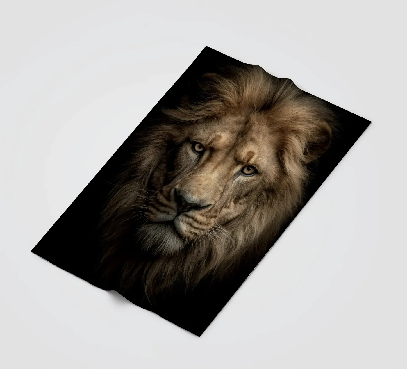 Leo coperta in pile da Pictura