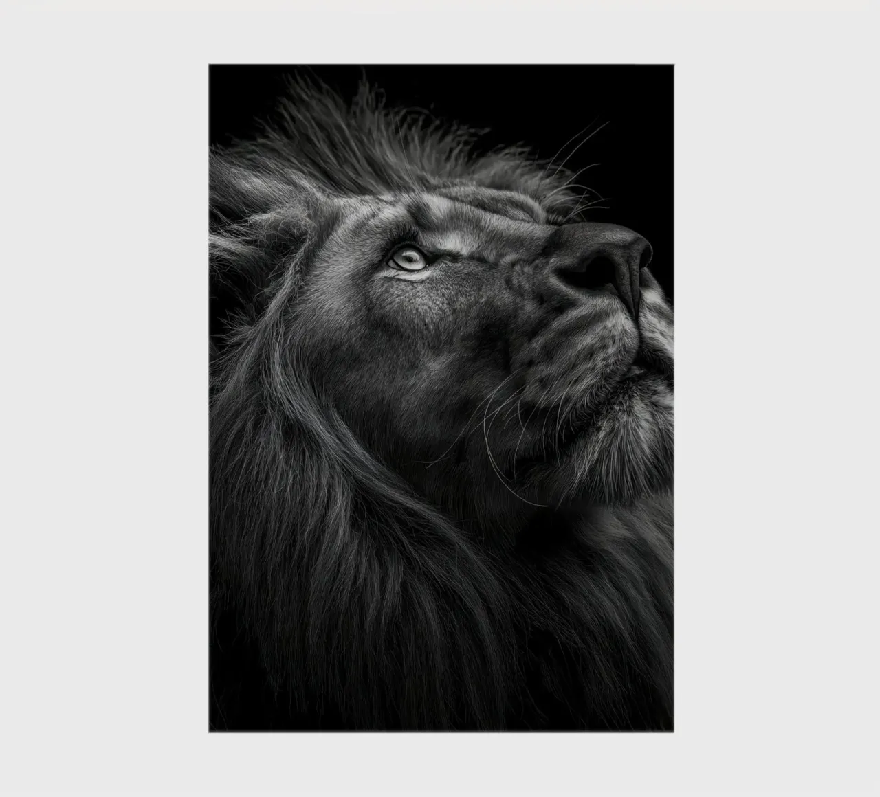 Lion portrait notebook by Pictura