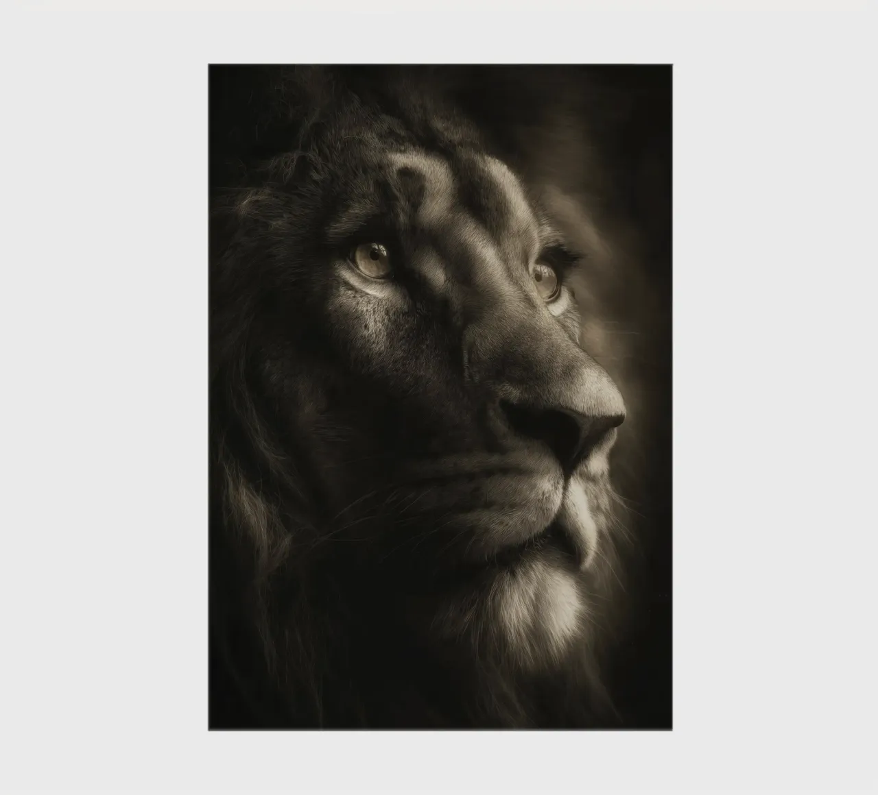 Portrait of a Lion notebook by Pictura