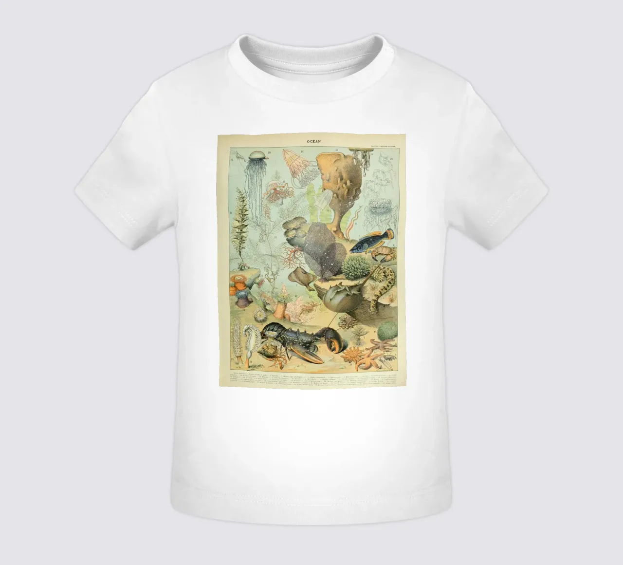 lobster jellyfish algae coral seaweed baby t-shirt by Graham Robertson
