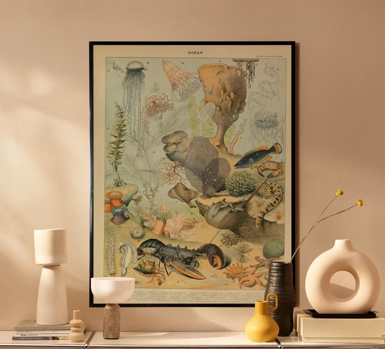 aragosta medusa alghe corallo alghe marine carta hahnemühle da Graham Robertson