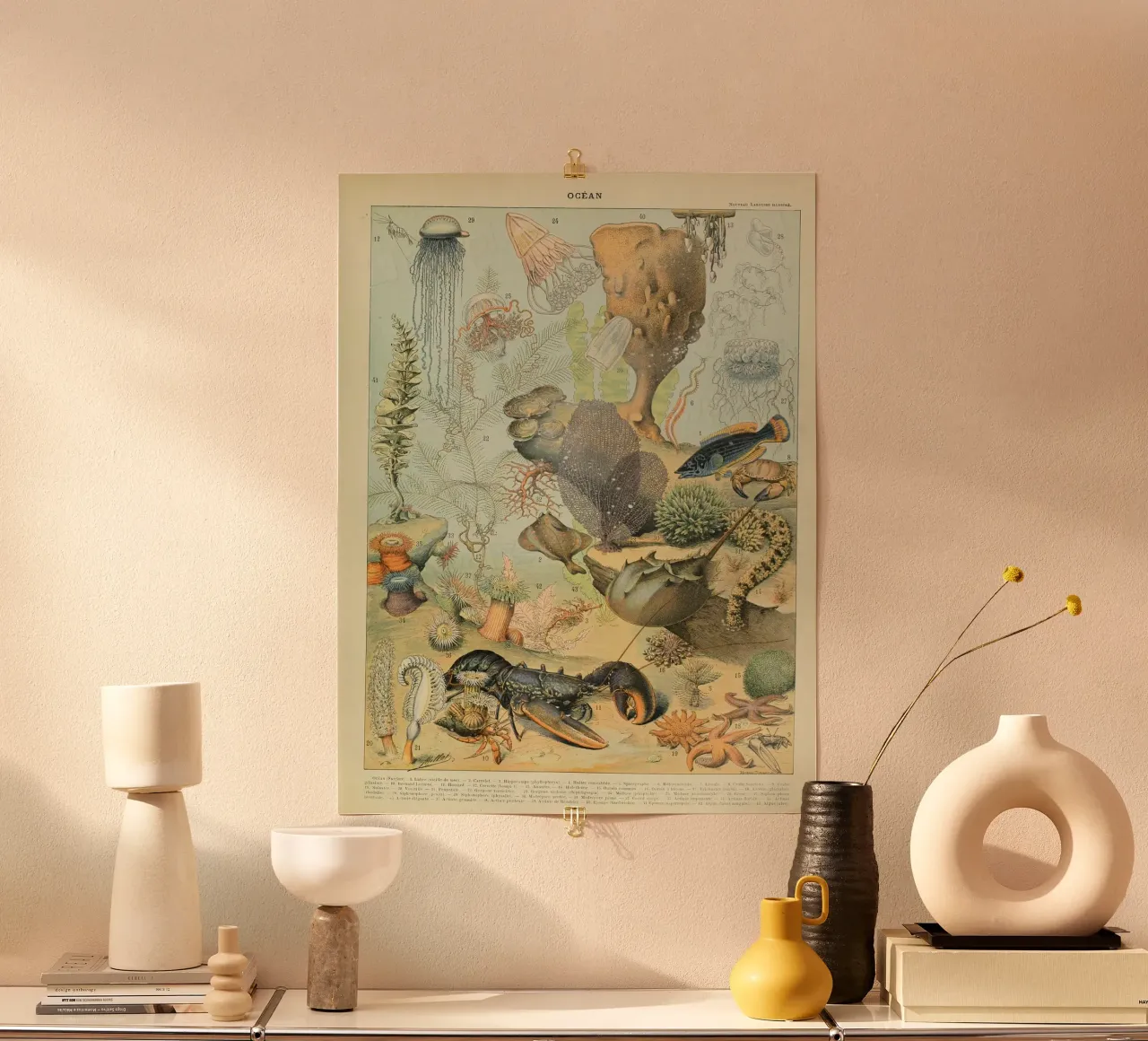 aragosta medusa alghe corallo alghe marine carta hahnemühle da Graham Robertson