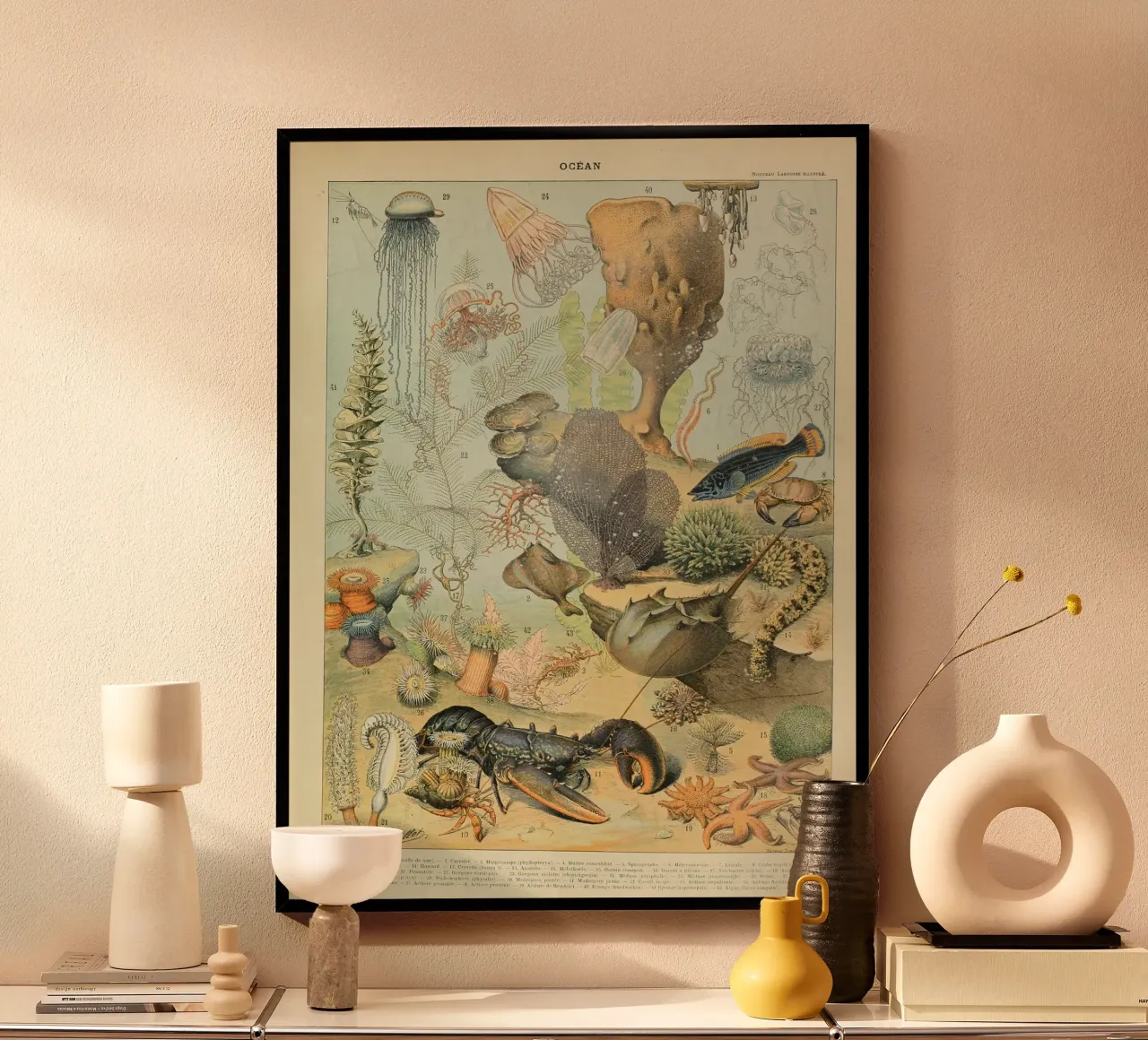 aragosta medusa alghe corallo alghe marine carta hahnemühle da Graham Robertson