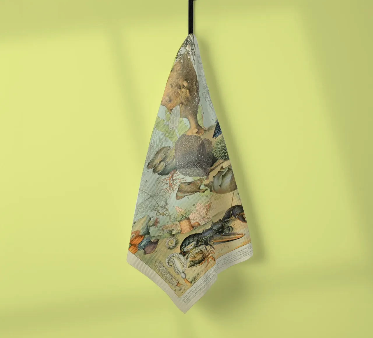 aragosta medusa alghe corallo alghe marine canovaccio da cucina da Graham Robertson
