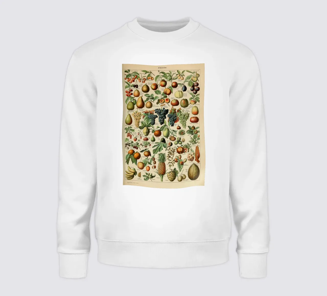 mele pere uva limoni frutta felpa da Graham Robertson