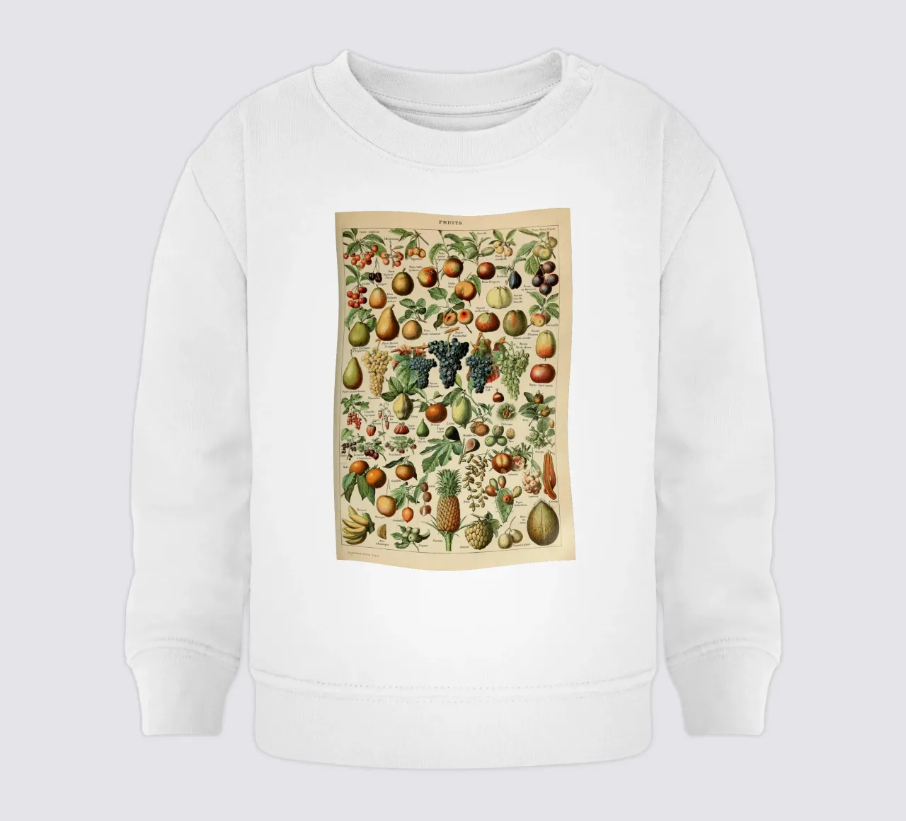 mele pere uva limoni frutta felpa neonato da Graham Robertson