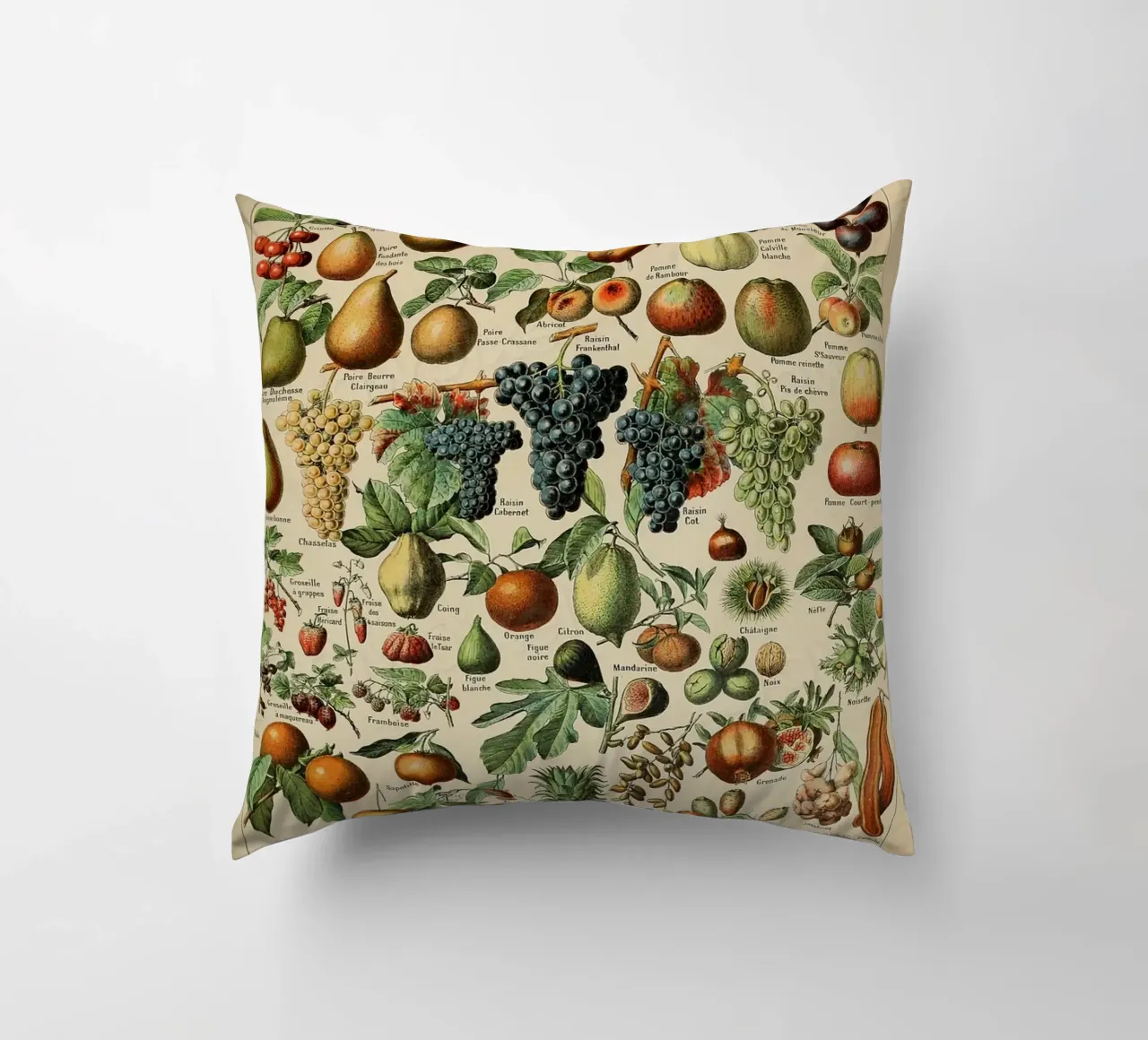 mele pere uva limoni frutta cuscino da Graham Robertson