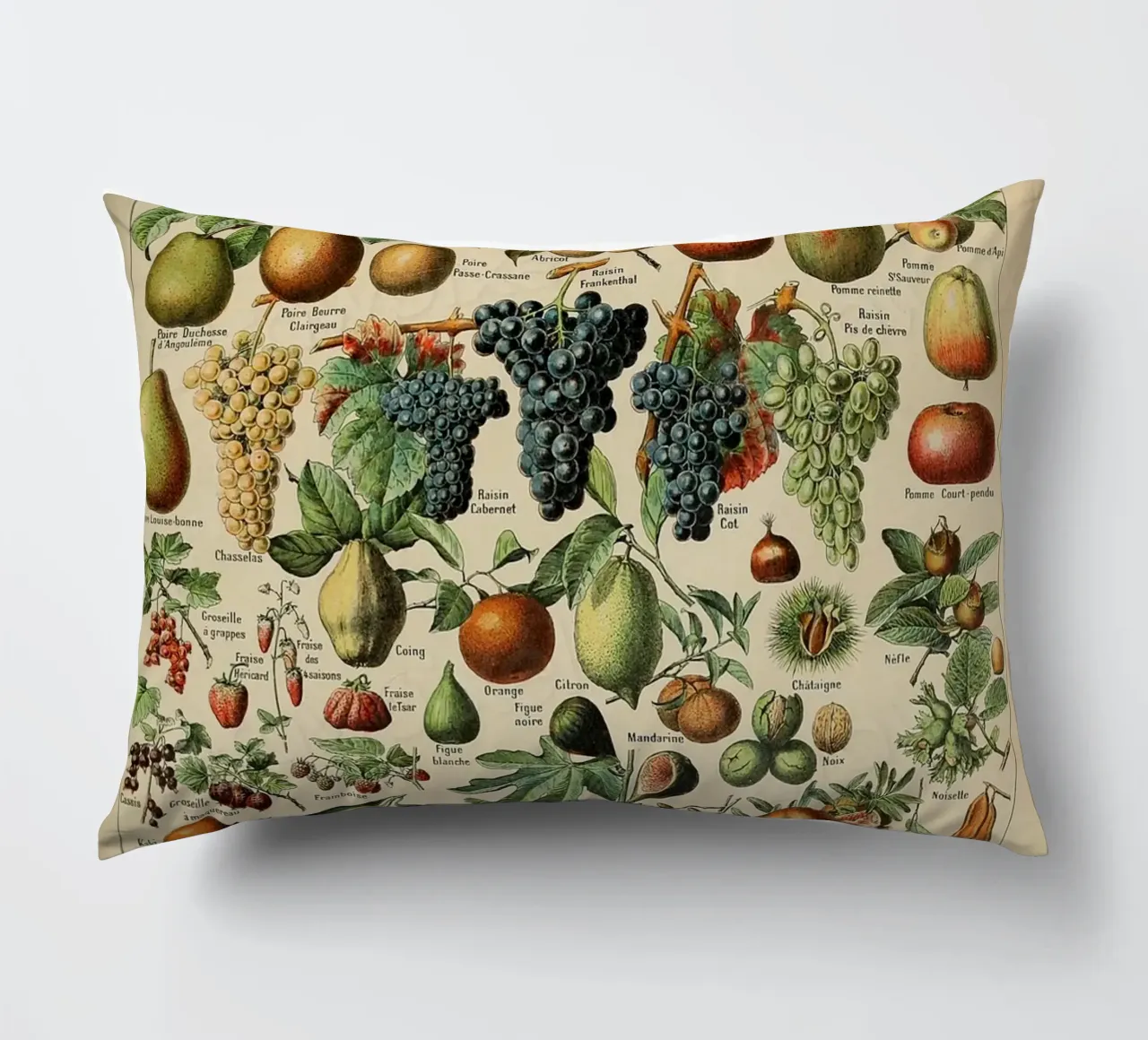 mele pere uva limoni frutta cuscino da Graham Robertson