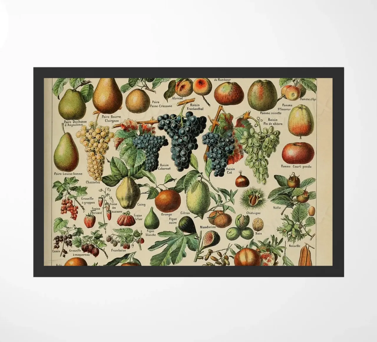 mele pere uva limoni frutta zerbino da Graham Robertson